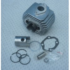 CYLINDER WITH PISTON PACK  - 38.00 - (ALMOT PL)